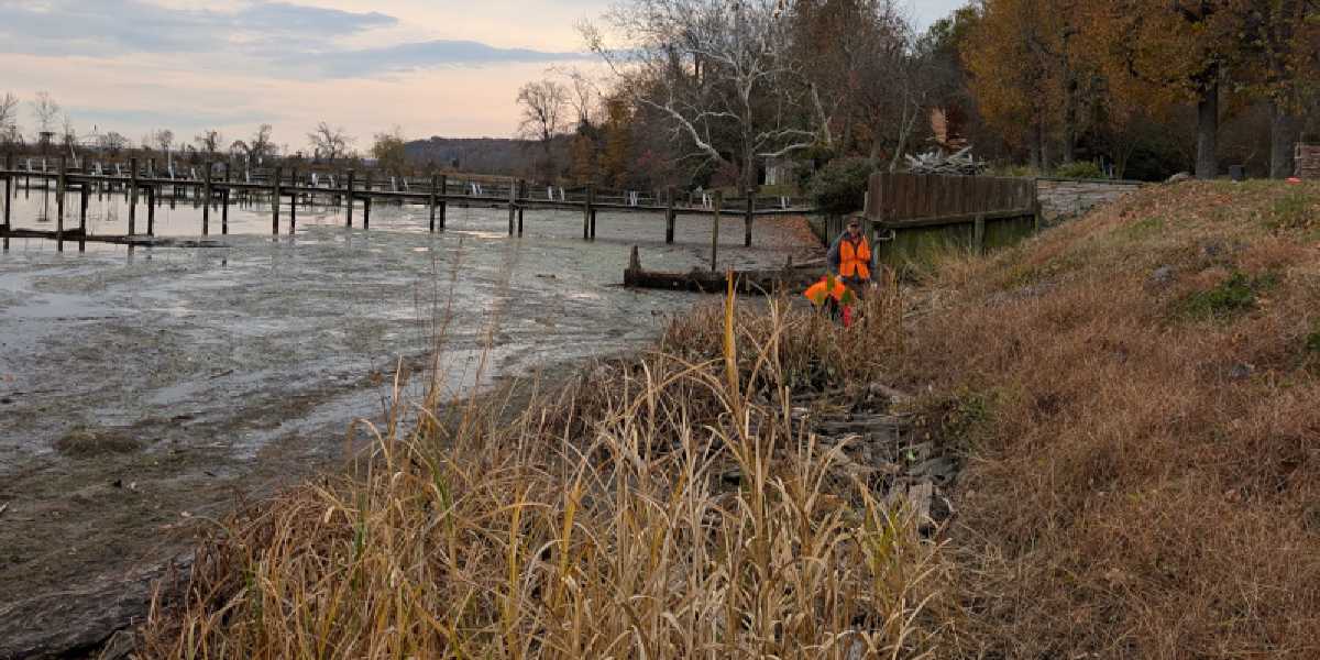 Brooke Road and Thorny Point Road Cleanup - February 2026